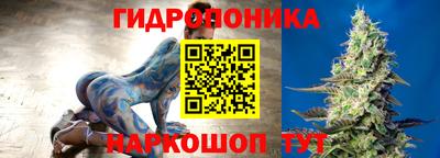 эйфоретик Гусиноозёрск