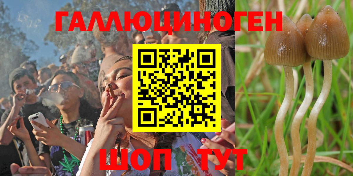 Галлюциногенные грибы Magic Shrooms  купить  цена  Лесозаводск  Галлюциногенные грибы прущие грибы  Вход с VPN 
