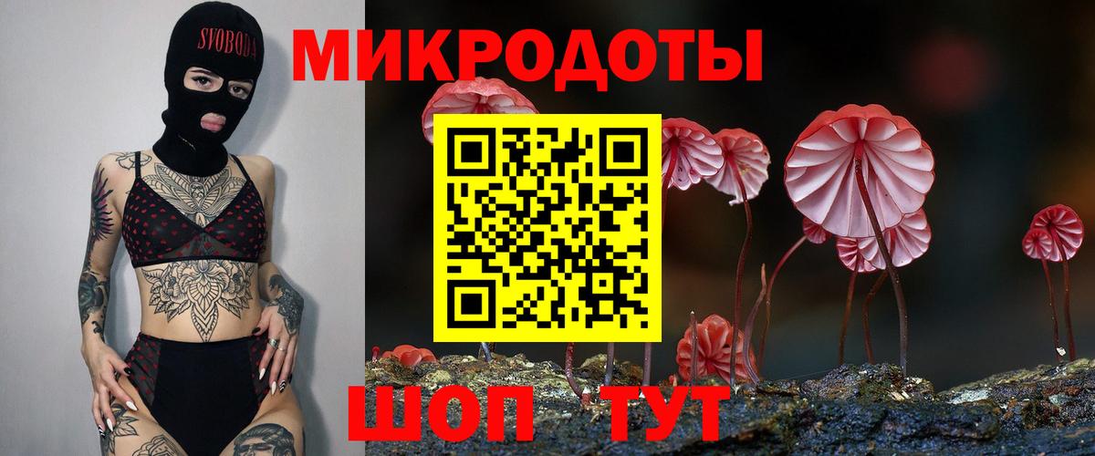 Псилоцибиновые грибы Psilocybine cubensis Лесозаводск